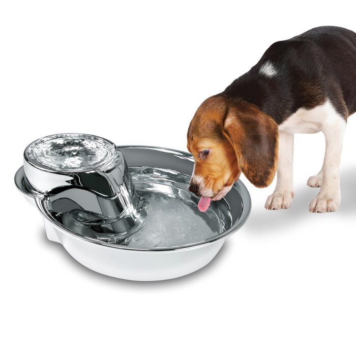 pet automatic water dispenser
